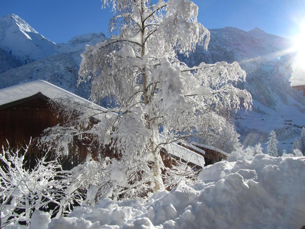 Hotel Cuntera Curaglia Eksteriør bilde